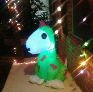 Meet your Posher, Bella